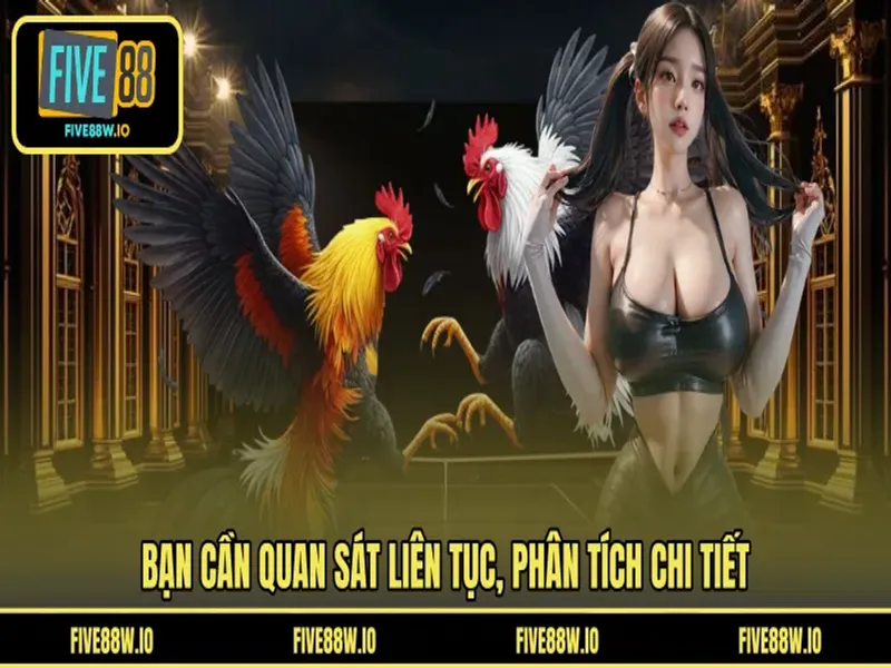 Bạn cần quan sát liên tục, phân tích chi tiết 