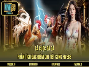 Cá Cược Đá Gà - Phân Tích Đặc Điểm Chi Tiết Cùng FIVE88