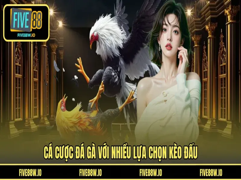 Cá cược đá gà với nhiều lựa chọn kèo đấu