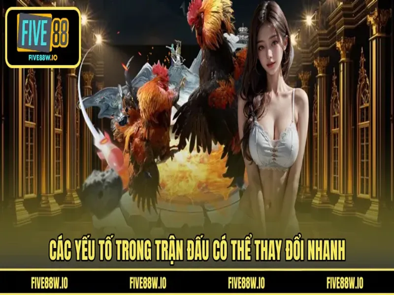 Các yếu tố trong trận đấu có thể thay đổi nhanh