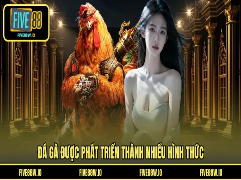 Đá gà được phát triển thành nhiều hình thức