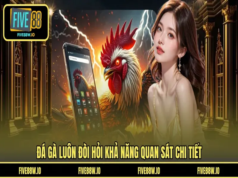 Đá gà luôn đòi hỏi khả năng quan sát chi tiết