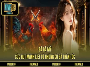 Đá Gà Mỹ - Sức Hút Mãnh Liệt Từ Những Cú Đá Thần Tốc