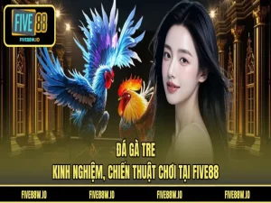 Đá Gà Tre - Kinh Nghiệm, Chiến Thuật Chơi Tại FIVE88