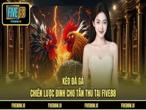 Kèo Đá Gà - Chiến Lược Đỉnh Cho Tân Thủ Tại FIVE88