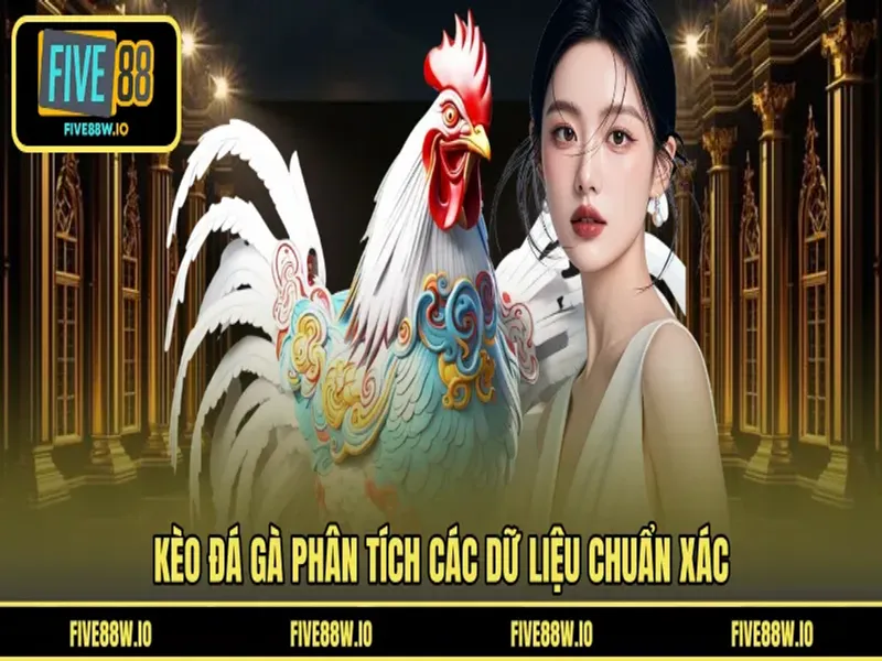 Kèo đá gà phân tích các dữ liệu chuẩn xác