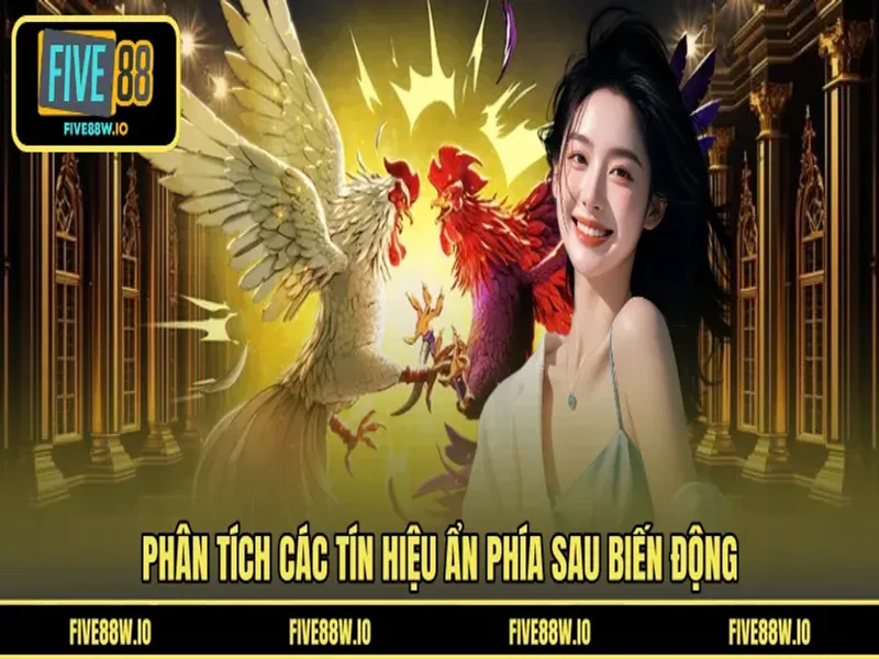 Phân tích các tín hiệu ẩn phía sau biến động
